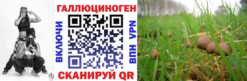 Псилоцибиновые грибы мицелий  Армавир 